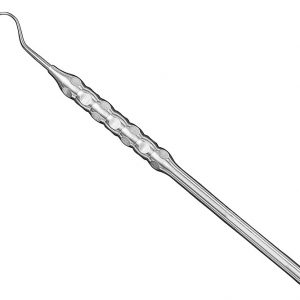 BD-DIPR6