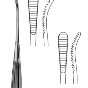 BD-SIBR1