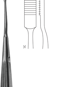 BD-SIBR3